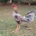 Isaac Balderas - Facebook
