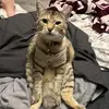 isaac.barone - @isaac.barone - TikTok