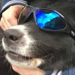 isaac barrett - @isaac_barrett765 - Instagram