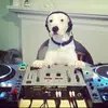 Isaac Barrett - @izac.barit - TikTok