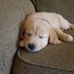 Isaac Baxter - Facebook