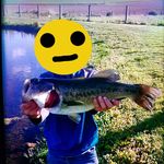 Isaac Bealer - @bealerisaac - Instagram