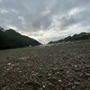 isaacbeales - @isaacbeales - TikTok