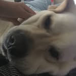 isaac beamer - @isaacbeamer2 - Instagram