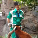 Isaac Bear - @issaaaacbeeaar - Instagram