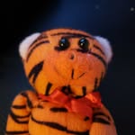 Isaac bear - @bear.isaac - Instagram