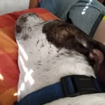 Isaac Beebe - @isaacbeebe8 - Instagram