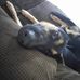 Isaac Bender - Facebook