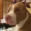 Isaacbenner - @isaacbenner - TikTok