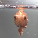 isaac berg - @isaacb834 - Instagram
