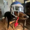 Isaac Bergeron 121 - @isaac.bergeron111 - TikTok