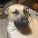 isaac betts - @isaac_betts_05 - Instagram