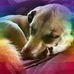Isaac Beyer - Facebook