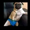 Isaac_Blade - @blade_0.0 - TikTok