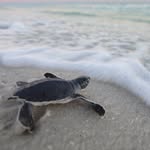 ISAAC BLEDSOE - @isaac_bledsoe_13 - Instagram