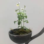 Isaac Bolton - @artibolt - Instagram