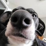 Isaac Booth - @isaacbootch - Instagram