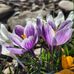 Isaac Boothe - Facebook