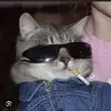 Isaac Botello - @isaac.botello5 - TikTok