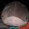 Isaac Bouchard - @isaac.bouchard1 - TikTok