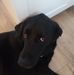 Isaac Boucher - Facebook