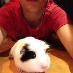 Isaac Boucher - @iboucher01 - Instagram