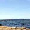 isaacboyle6 - @isaac.boyle33 - TikTok