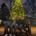 Isaac Bradshaw - Facebook