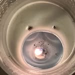 Isaac Branham - @isaacbranham919 - Instagram