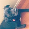 isaacbraxton - @itz_the_savage_ - TikTok