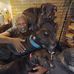 Isaac Bridges - Facebook