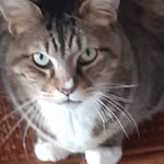 Isaac Brito - @isaac.brito.3154 - Instagram