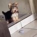 Isaac Bruno - Facebook
