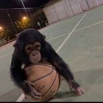 Isaac Bryant - @isaacbryant7 - Instagram