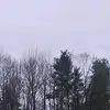 isaac burger - @isaacburger - TikTok