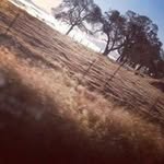 Isaac Burt - @isaac583 - Instagram