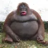 Isaac.Burton - @isaacburton02 - TikTok
