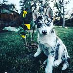 love_isaac - @isaacbusby345 - Instagram