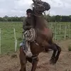 Isaac Cano - @isaac.cano701 - TikTok