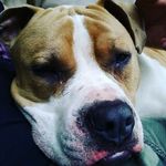 isaac ceja - @ceja5203 - Instagram
