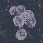Isaac.Cheney - @isaac.cheney - Instagram