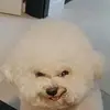 isaaccochrane37 - @isaac.cochrane23 - TikTok