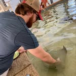 Isaac Collier - @i_collier - Instagram