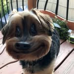 Isaac Collier - @isaacoakecollier - Instagram