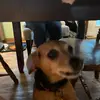 Isaac Conrad - @isaac.conrad - TikTok
