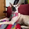 Isaac Covert - @isaac.covert - TikTok