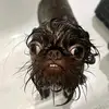 Isaac Cuevas - @isaac_y2k - TikTok