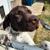 isaac_curry0 - @isaac_curry0 - TikTok