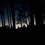 Isaac Decker - @decker.isaac - Instagram
