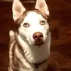 isaacdecker3 - @isaacdecker3 - TikTok
